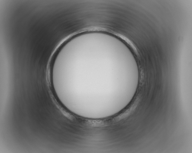 X0000113580886200909181017