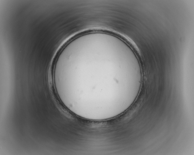 X0000113580887200909181017