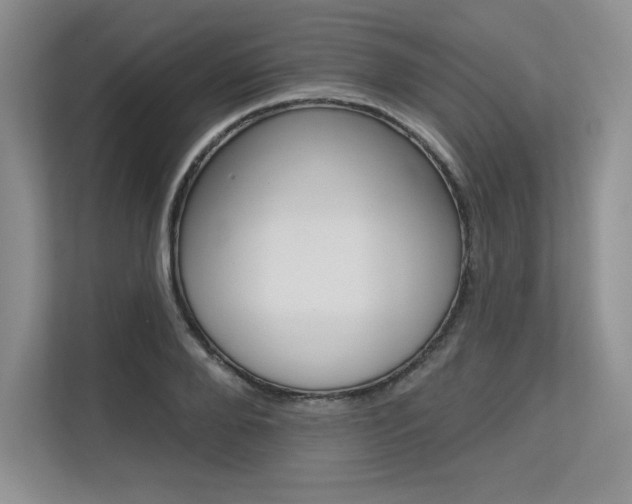 X0000113580888200909181017