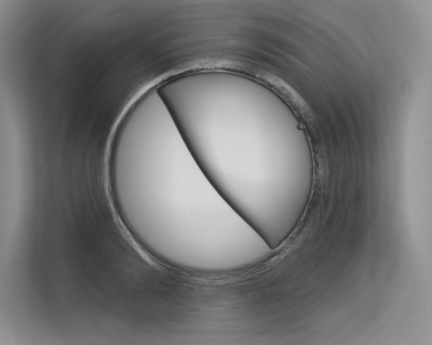X0000113580894200909181017