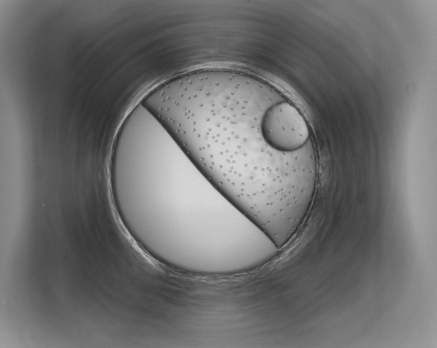 X0000113580906200909181017