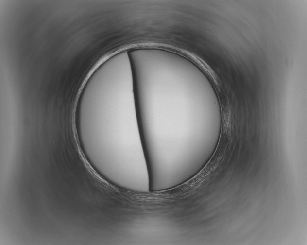 X0000113580911200909181017