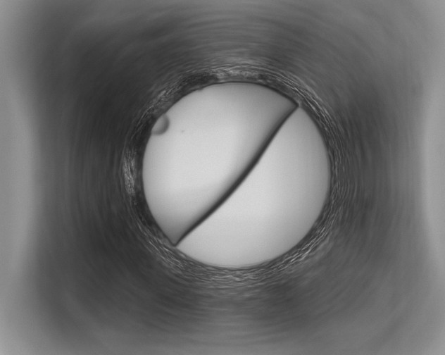 X0000113580915200909181016