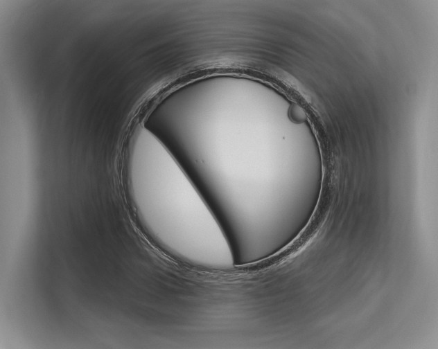 X0000113580922200909181016