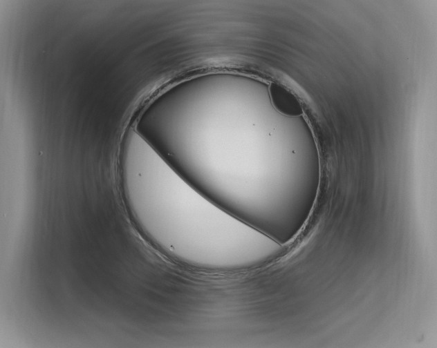 X0000113580930200909181017