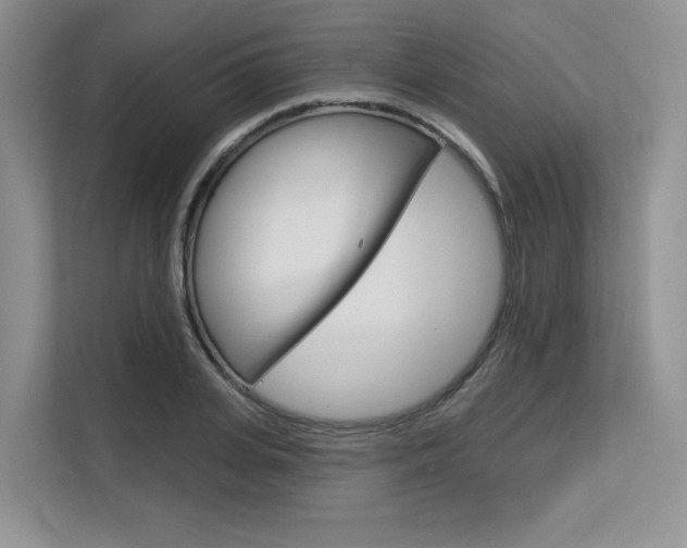 X0000113580935200909181017