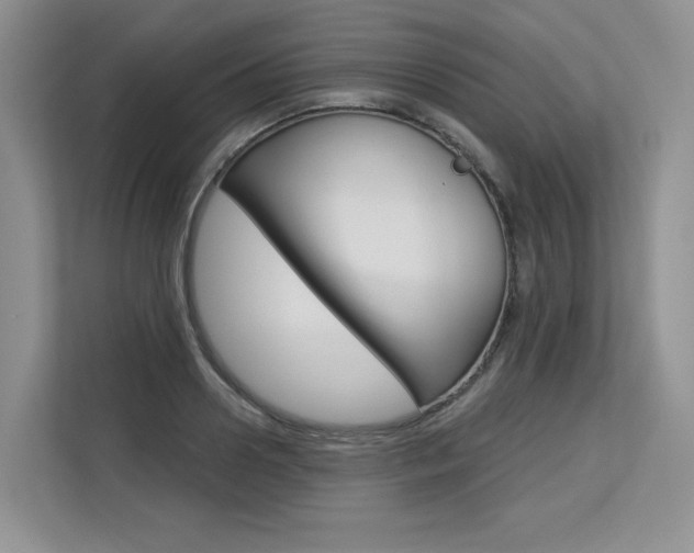 X0000113580938200909181017
