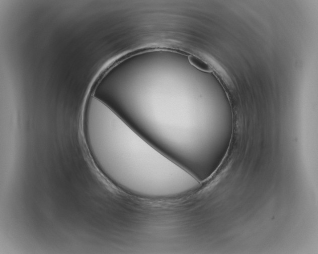 X0000113580940200909181017