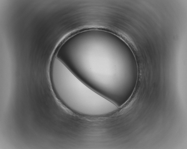 X0000113580942200909181017