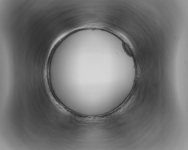 X0000113580952200909181017