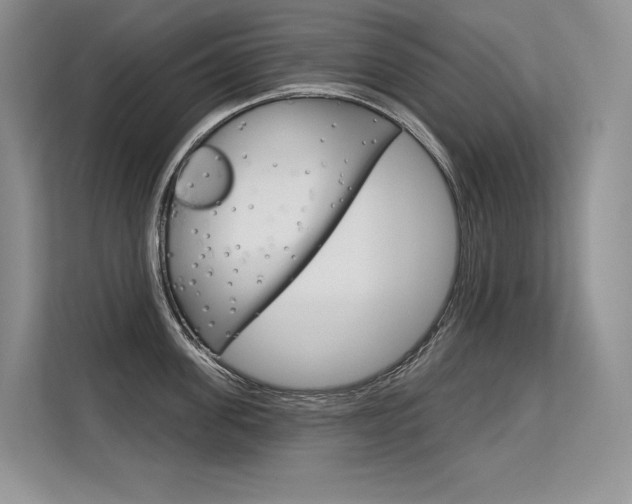X0000113580955200909181017
