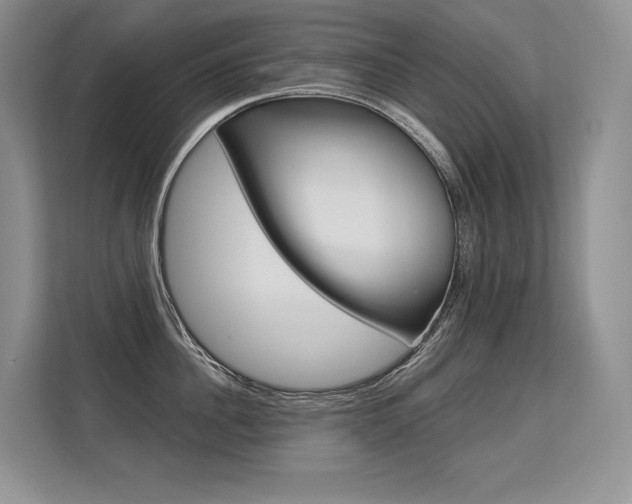 X0000113580956200909181017
