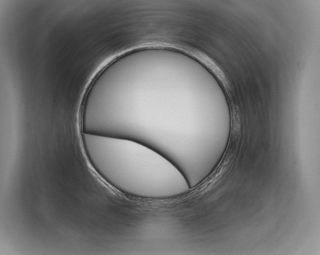 X0000113580958200909181017