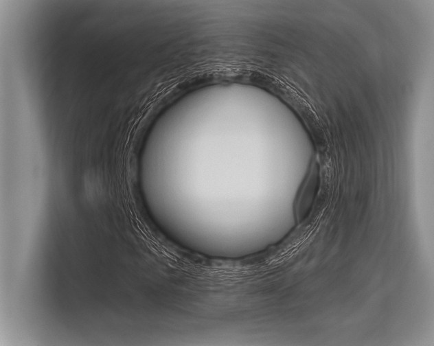 X0000113580961200909181016