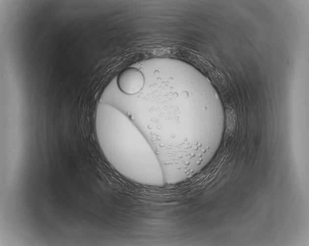 X0000113580962200909181016