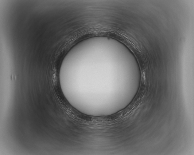 X0000113580963200909181016