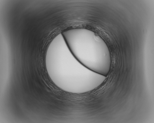 X0000113580964200909181016