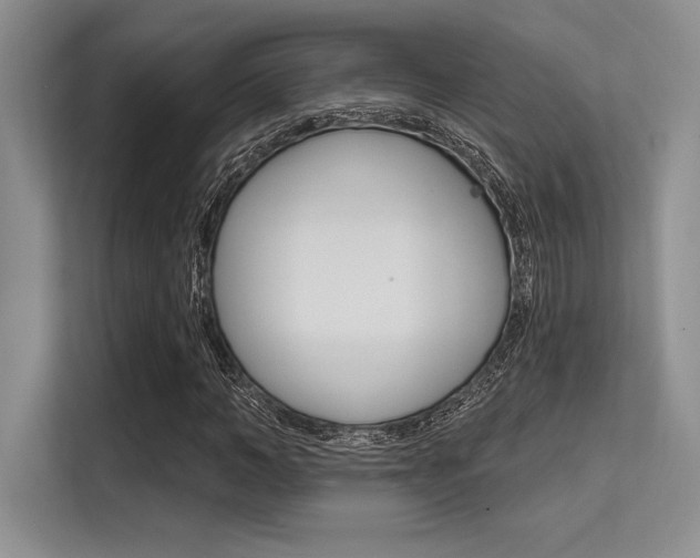 X0000113580966200909181016