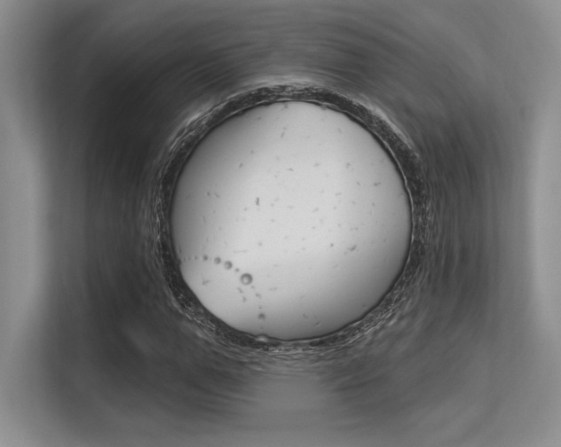 X0000113580967200909181016