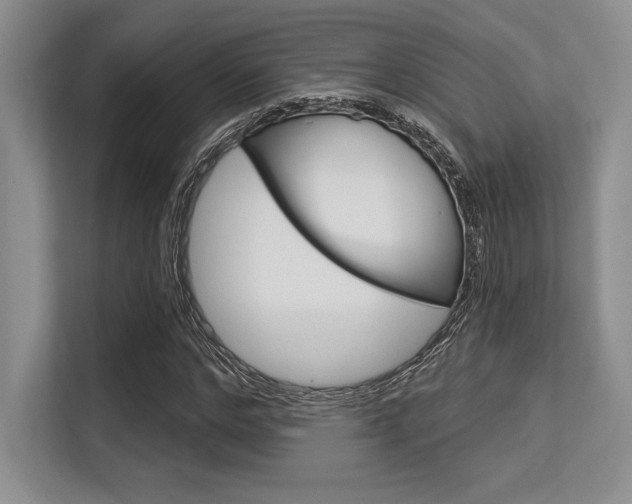 X0000113580968200909181016