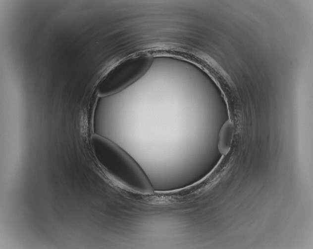 X0000113580969200909181016