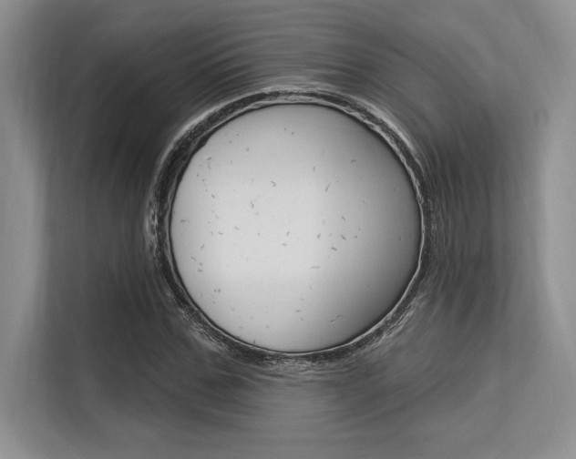 X0000113580971200909181016