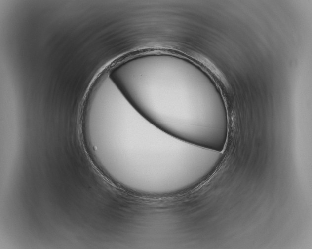 X0000113580972200909181016