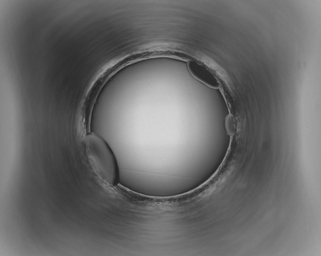 X0000113580973200909181016