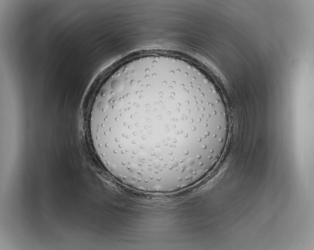 X0000113580974200909181016