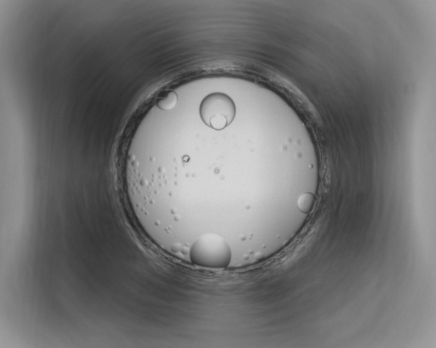 X0000113580978200909181016