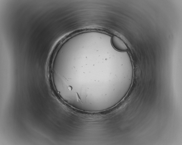 X0000113580979200909181016