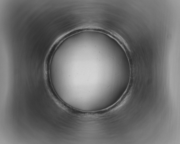 X0000113580981200909181016