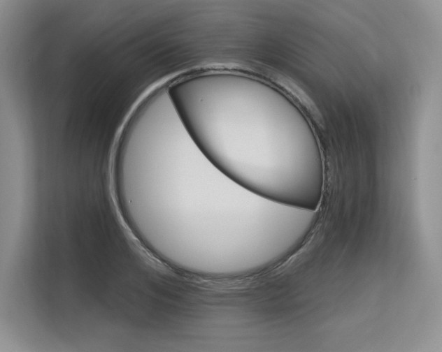 X0000113580984200909181016