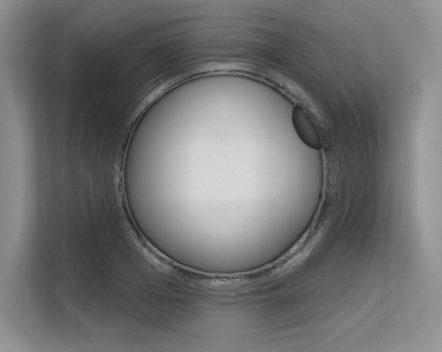 X0000113580985200909181016