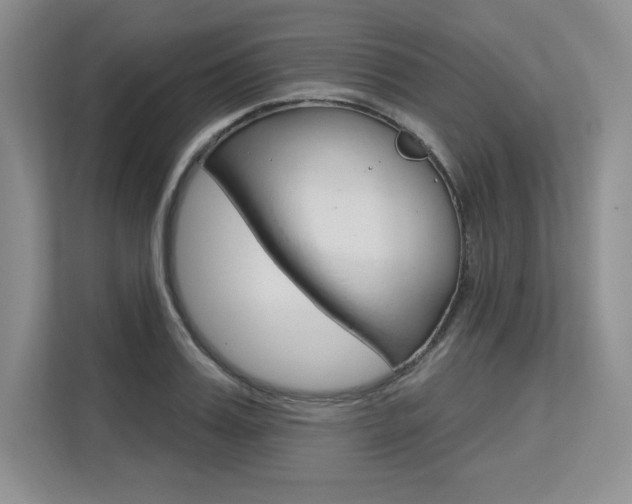 X0000113580987200909181016