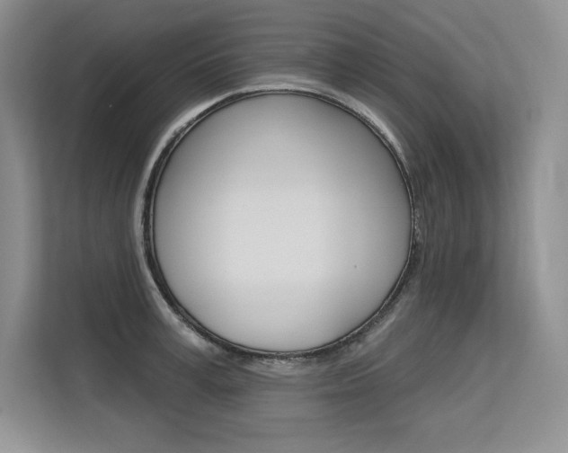 X0000113580995200909181016
