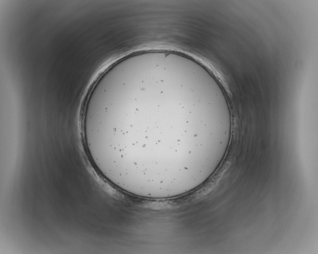 X0000113580998200909181016