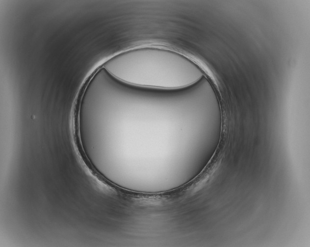 X0000113580999200909181016