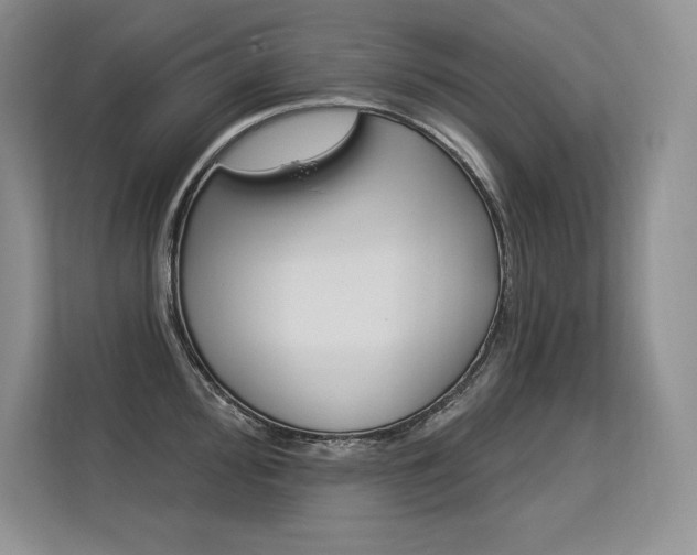 X0000113581000200909181016