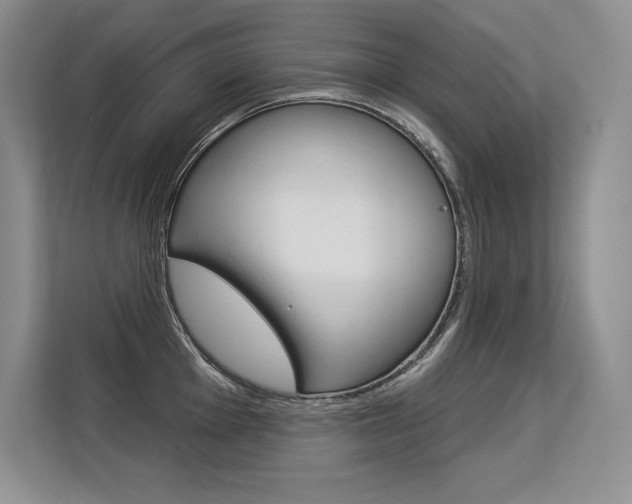X0000113581001200909181016