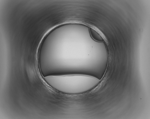 X0000113581004200909181016