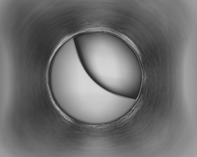 X0000113581005200909181016
