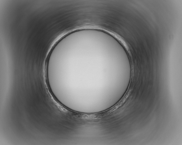 X0000113581006200909181016