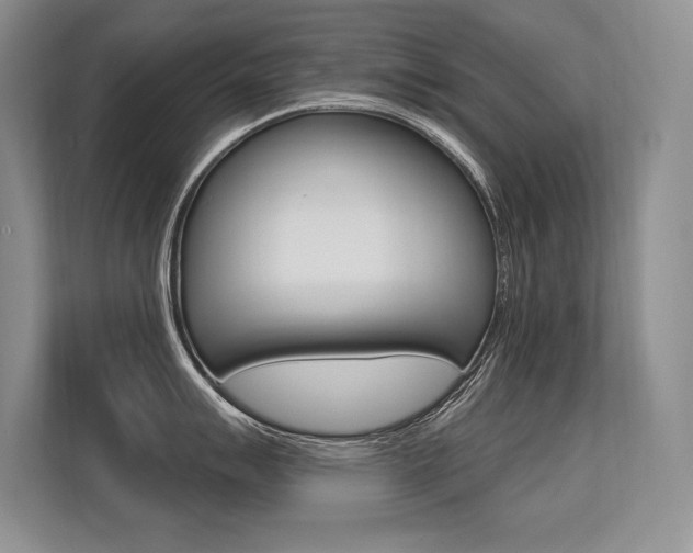 X0000113581007200909181016