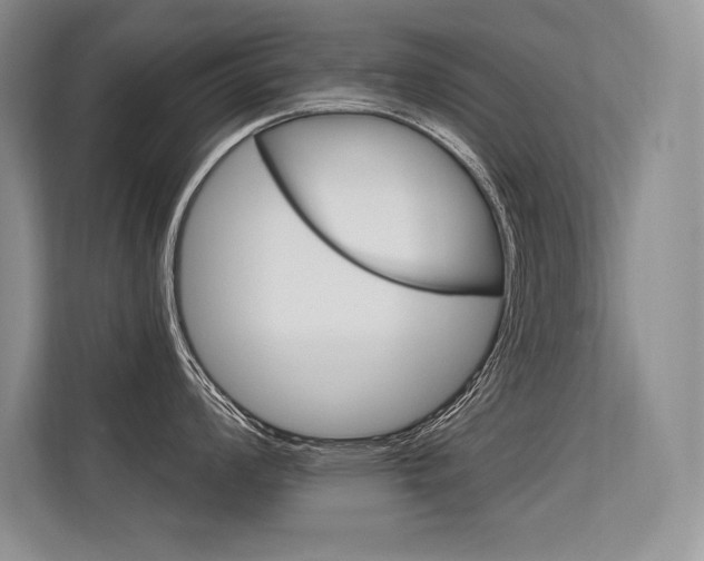 X0000113581008200909181016