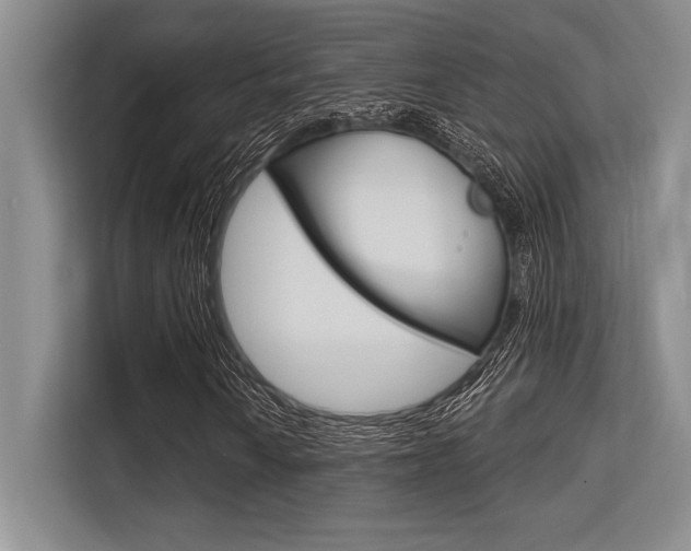 X0000113581010200909181015