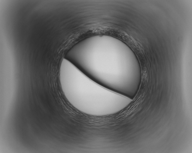 X0000113581012200909181015