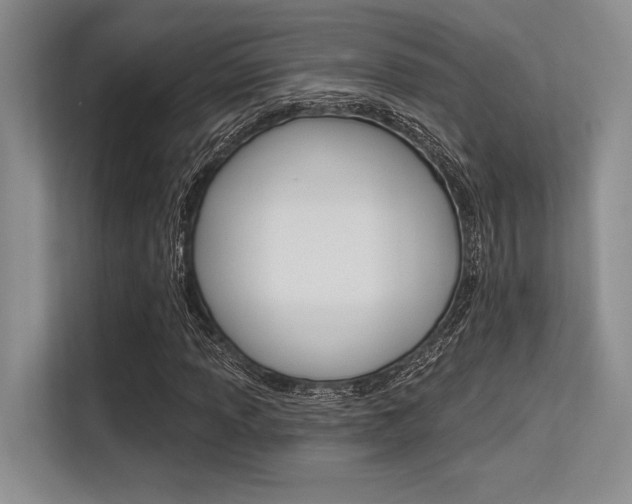X0000113581013200909181015