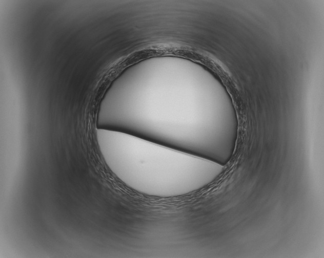 X0000113581016200909181015