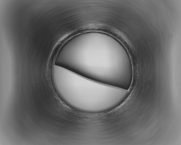 X0000113581018200909181015